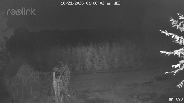 time-lapse frame, UM CSO webcam