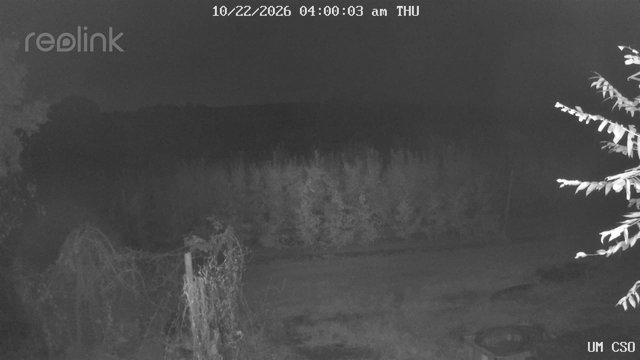 time-lapse frame, UM CSO webcam