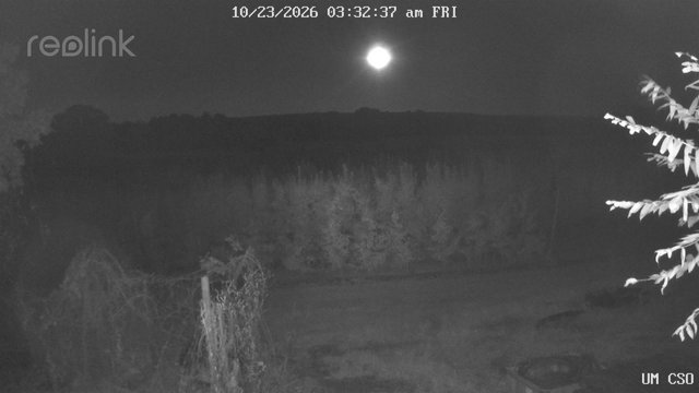 time-lapse frame, UM CSO webcam