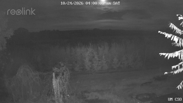 time-lapse frame, UM CSO webcam