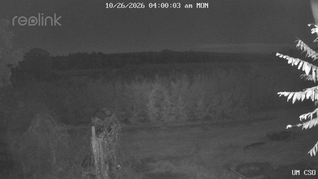 time-lapse frame, UM CSO webcam