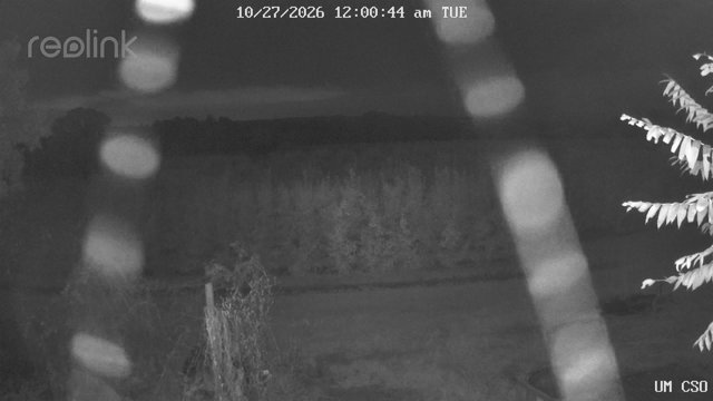 time-lapse frame, UM CSO webcam