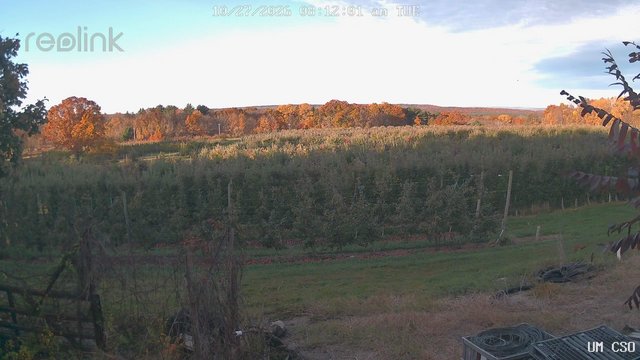 view from UM CSO on 2026-10-27