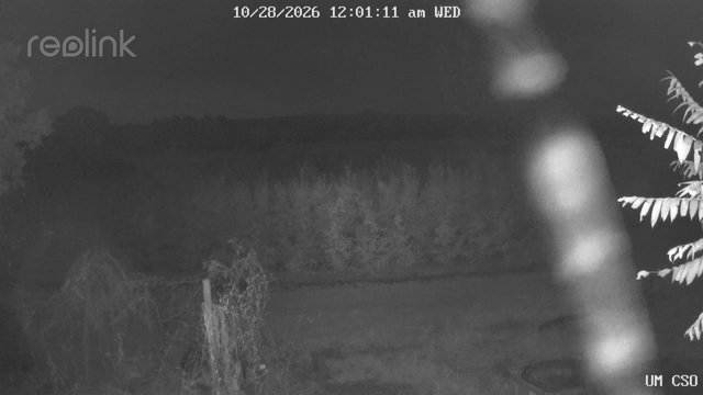 time-lapse frame, UM CSO webcam