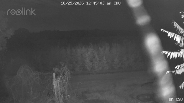 time-lapse frame, UM CSO webcam