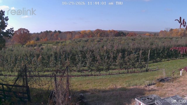 view from UM CSO on 2026-10-29
