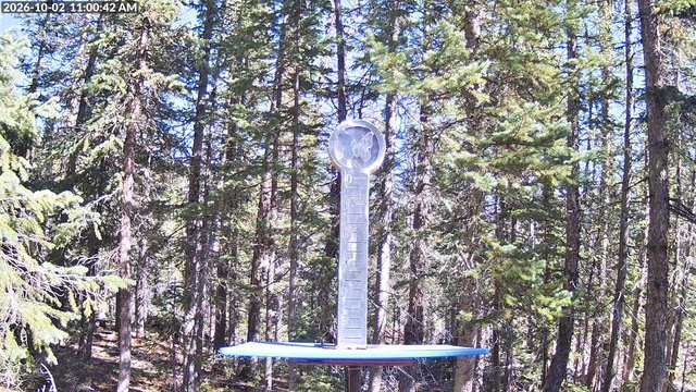 view from Powder Cam on 2026-10-02