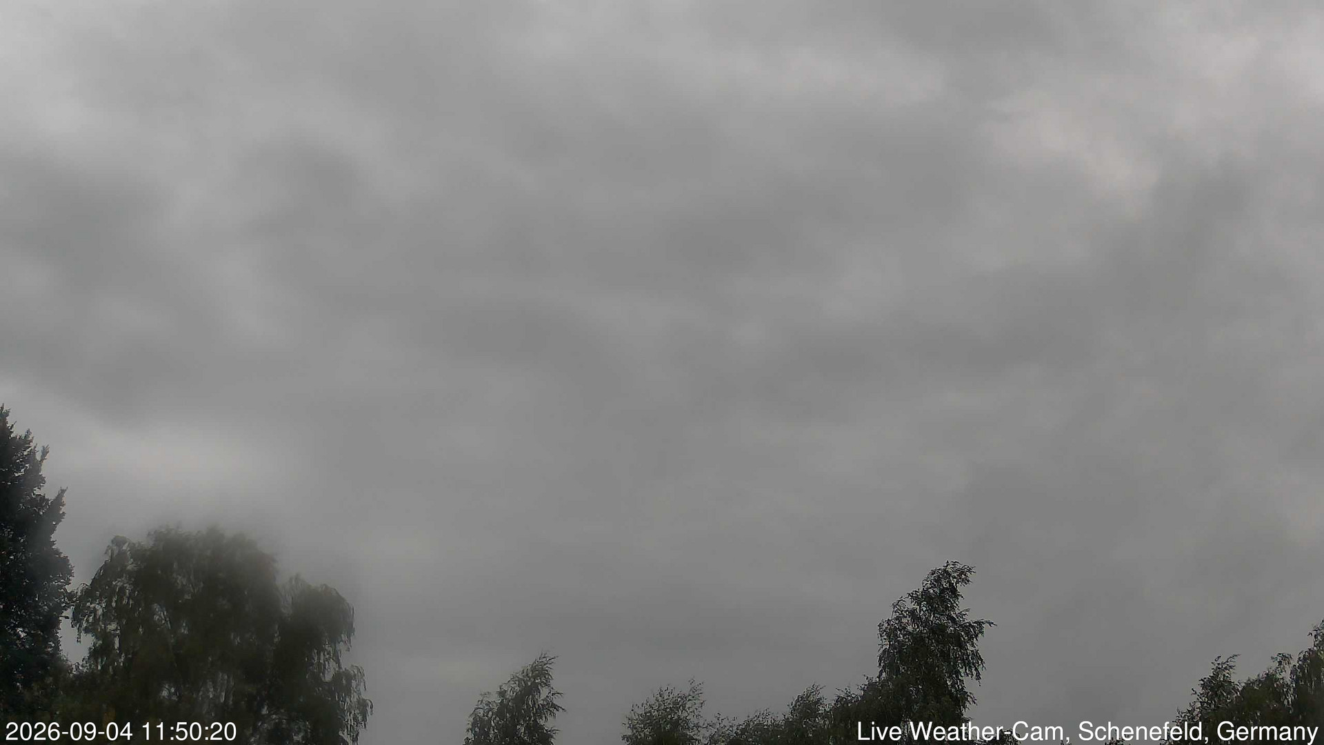 time-lapse frame,  webcam