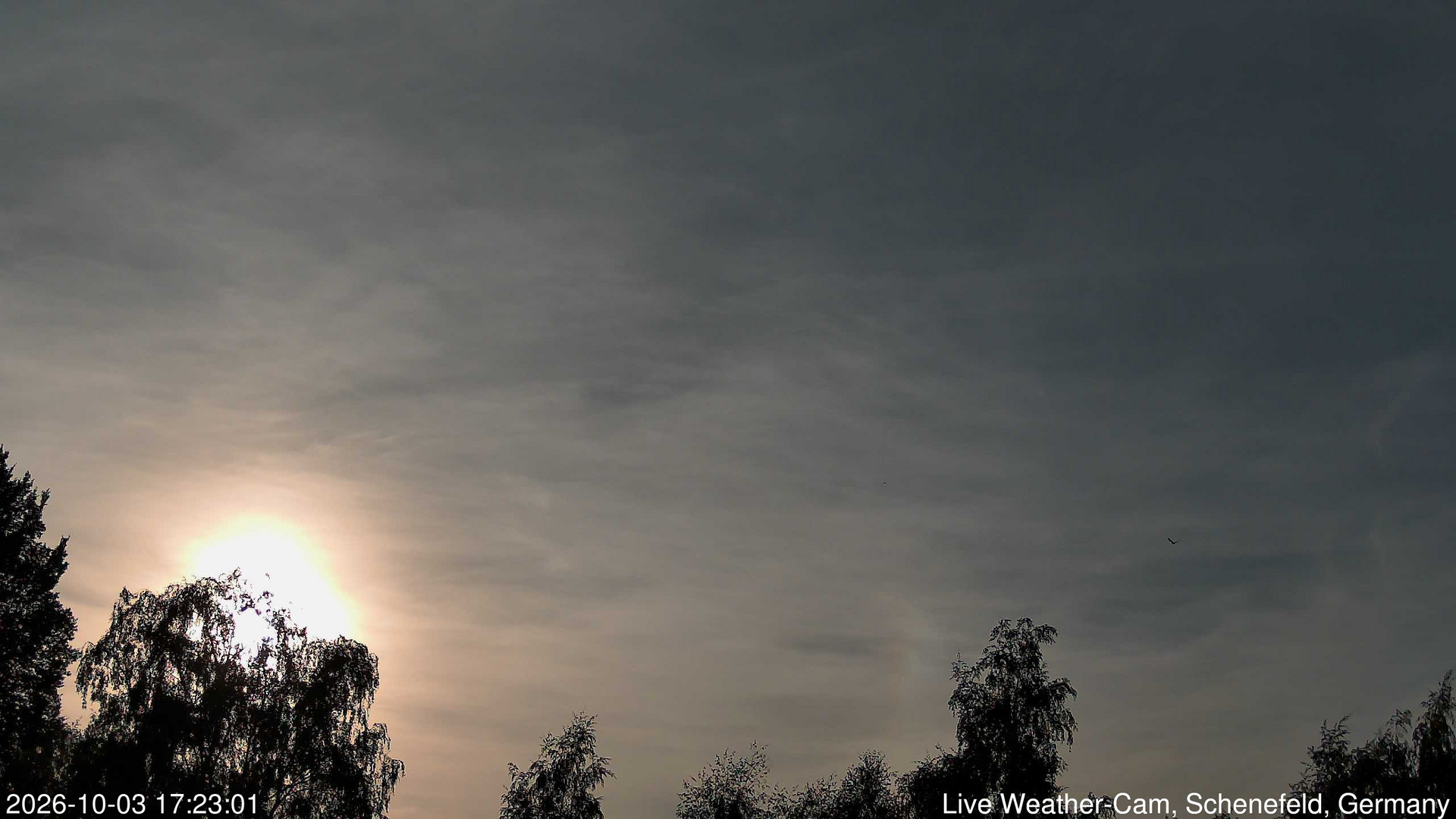 time-lapse frame, 2026-10-03 17:23-19:53 webcam