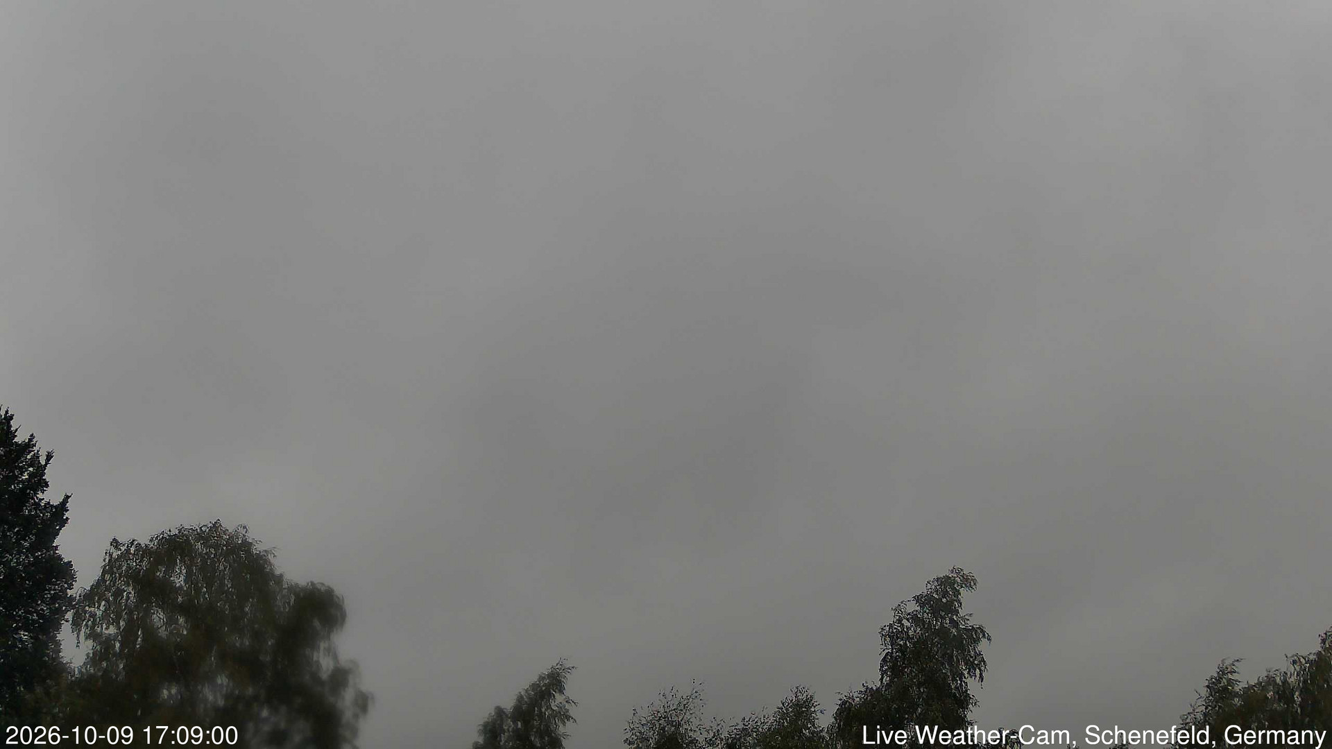 time-lapse frame, 2026-10-09 17:09-19:39 webcam