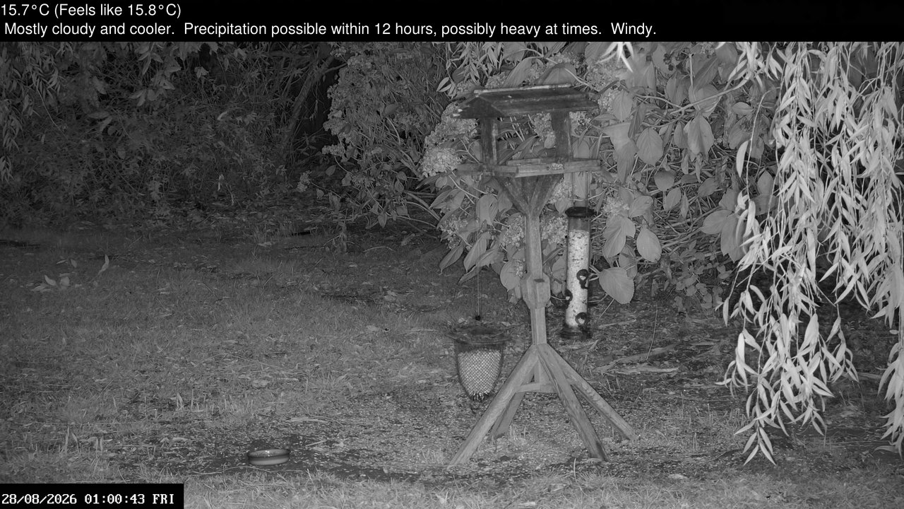 time-lapse frame, Wembury, Devon. Garden Zoom Cam webcam