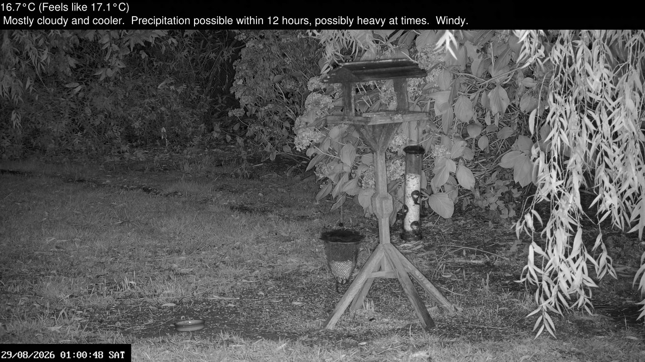 time-lapse frame, Wembury, Devon. Garden Zoom Cam webcam