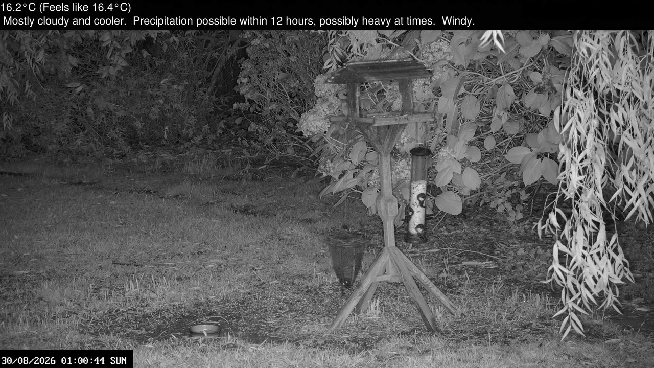 time-lapse frame, Wembury, Devon. Garden Zoom Cam webcam