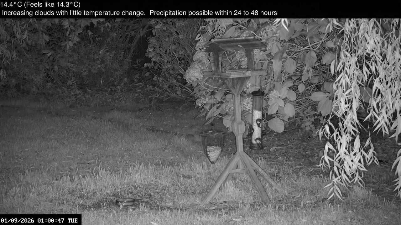 time-lapse frame, Wembury, Devon. Garden Zoom Cam webcam