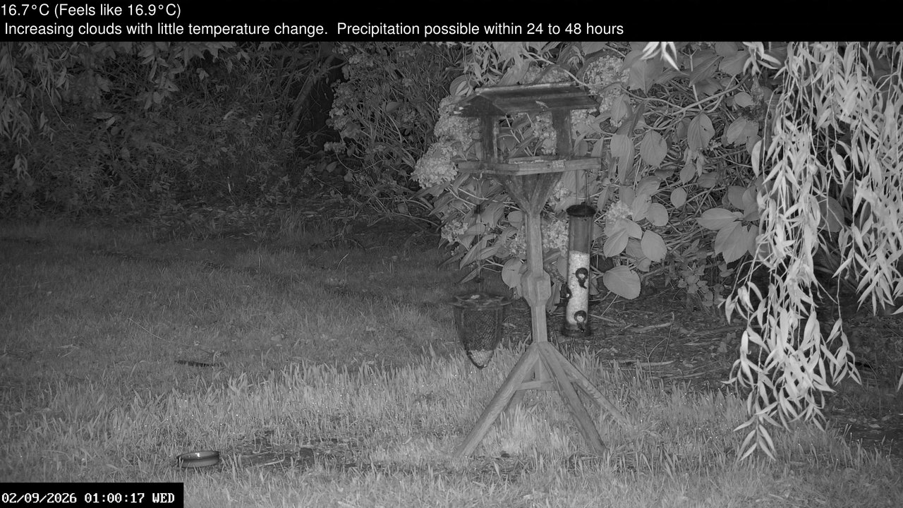 time-lapse frame, Wembury, Devon. Garden Zoom Cam webcam