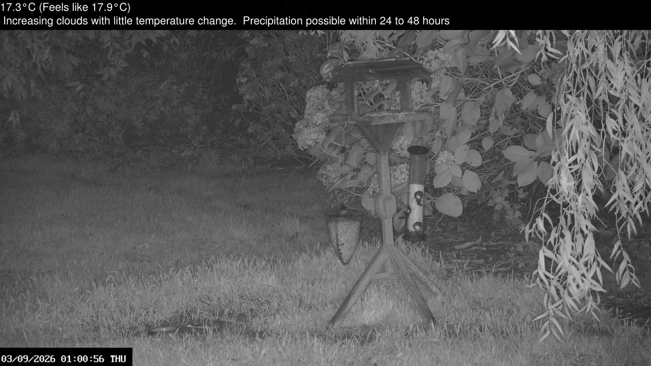 time-lapse frame, Wembury, Devon. Garden Zoom Cam webcam