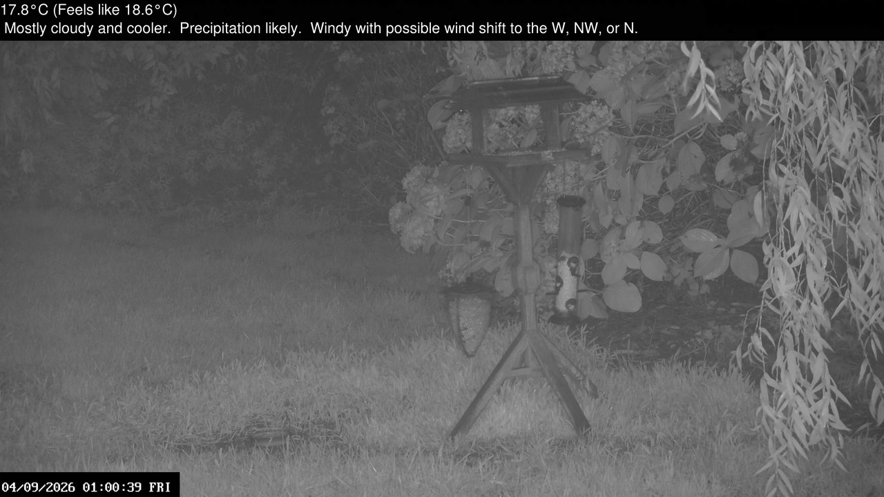 time-lapse frame, Wembury, Devon. Garden Zoom Cam webcam
