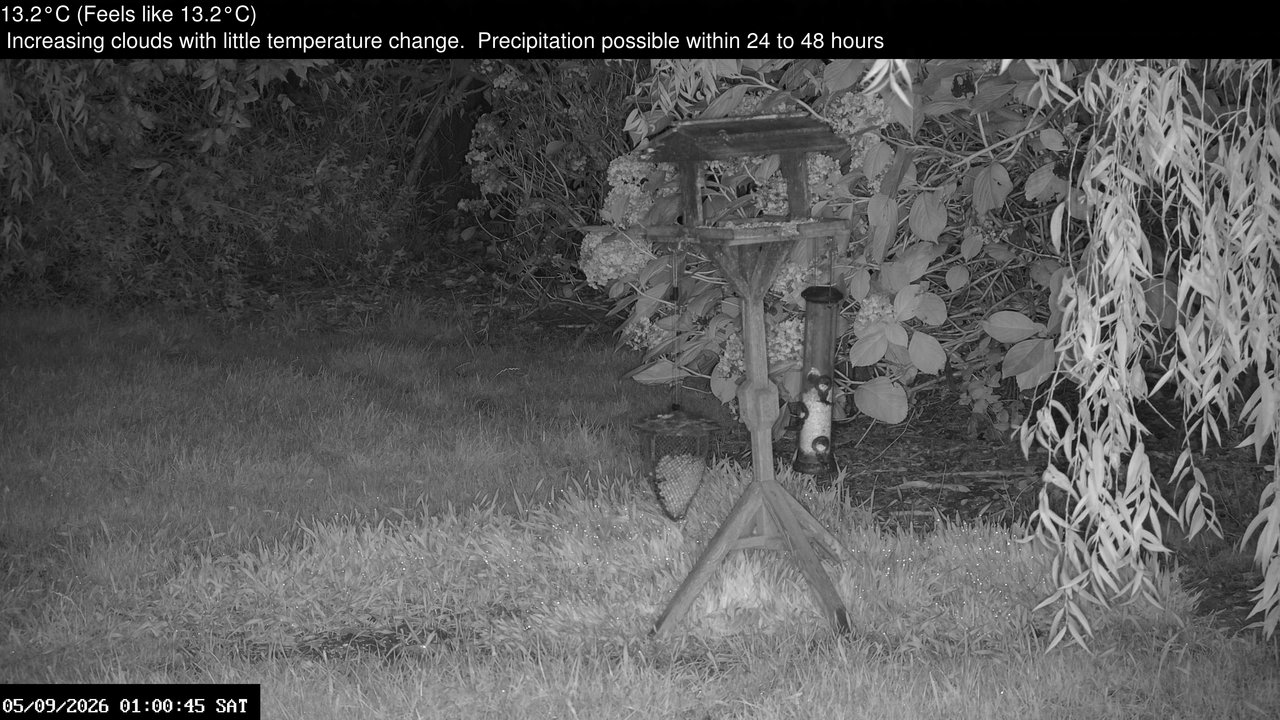 time-lapse frame, Wembury, Devon. Garden Zoom Cam webcam