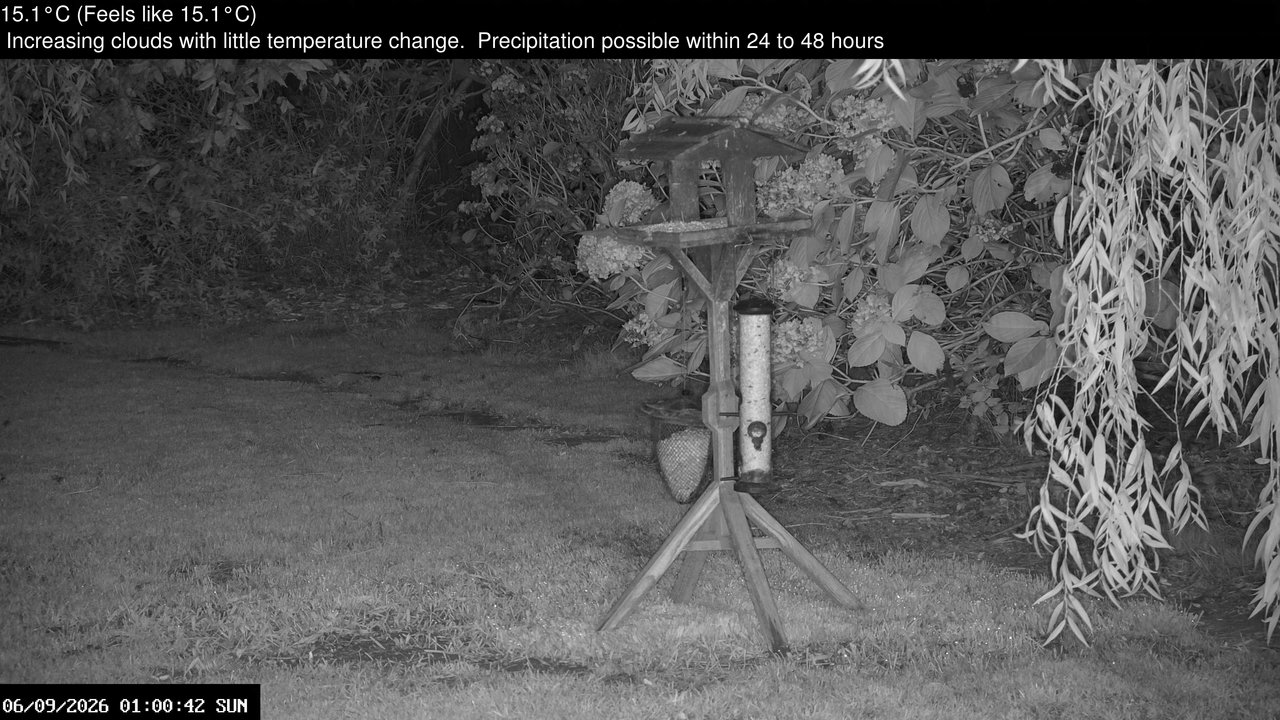 time-lapse frame, Wembury, Devon. Garden Zoom Cam webcam