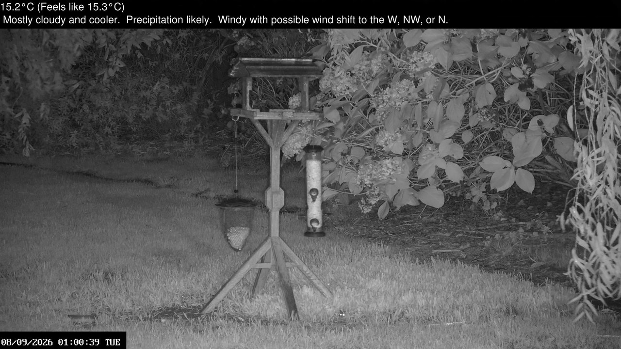 time-lapse frame, Wembury, Devon. Garden Zoom Cam webcam