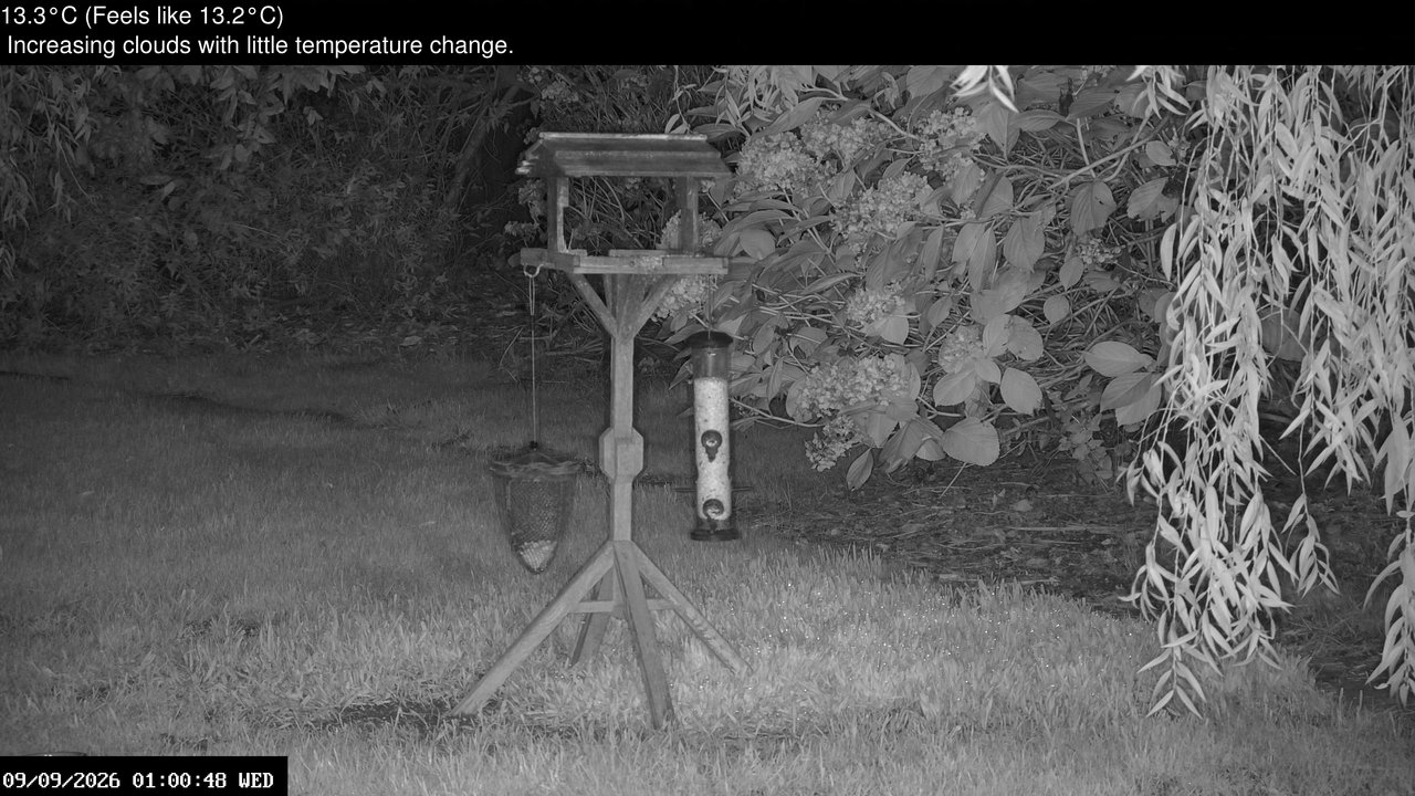 time-lapse frame, Wembury, Devon. Garden Zoom Cam webcam