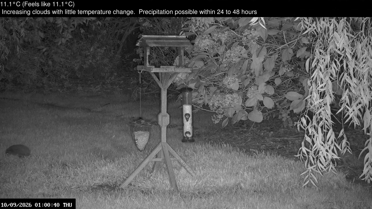 time-lapse frame, Wembury, Devon. Garden Zoom Cam webcam