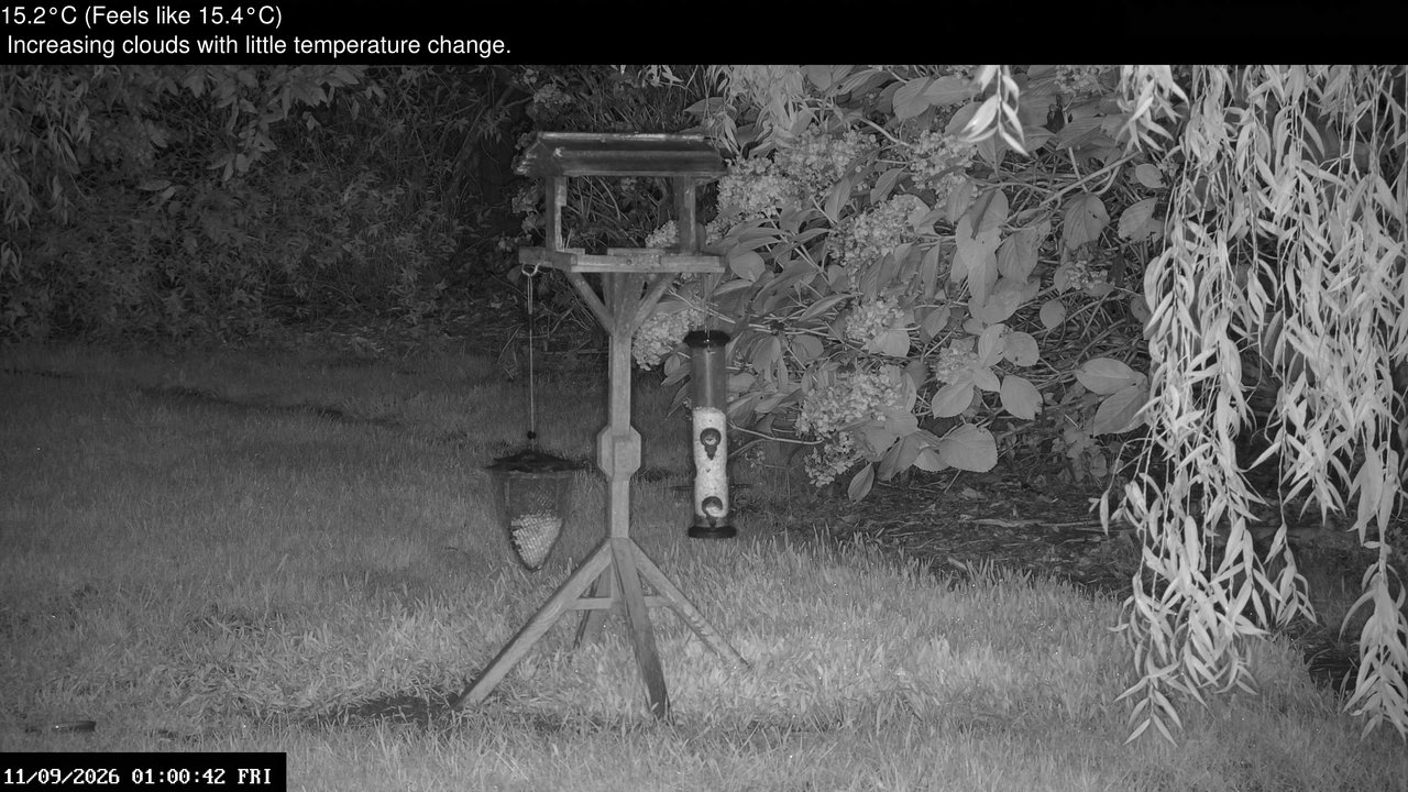 time-lapse frame, Wembury, Devon. Garden Zoom Cam webcam