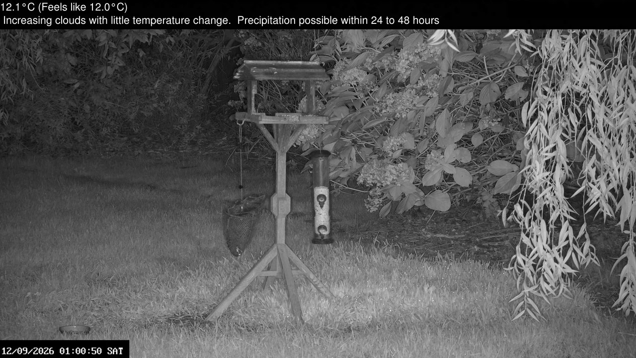 time-lapse frame, Wembury, Devon. Garden Zoom Cam webcam