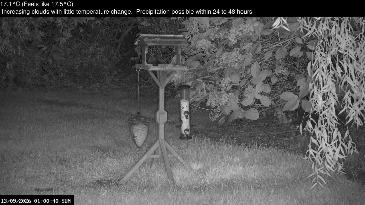 time-lapse frame, Wembury, Devon. Garden Zoom Cam webcam