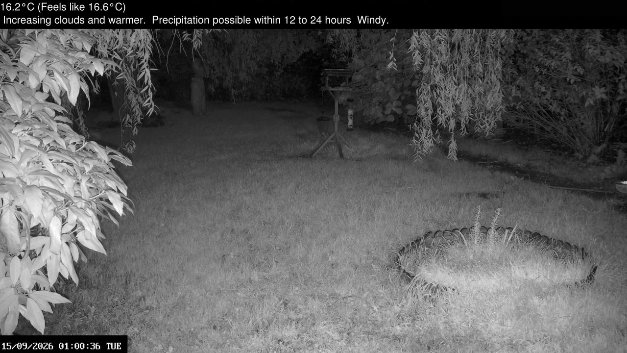 time-lapse frame, Wembury, Devon. Garden Zoom Cam webcam