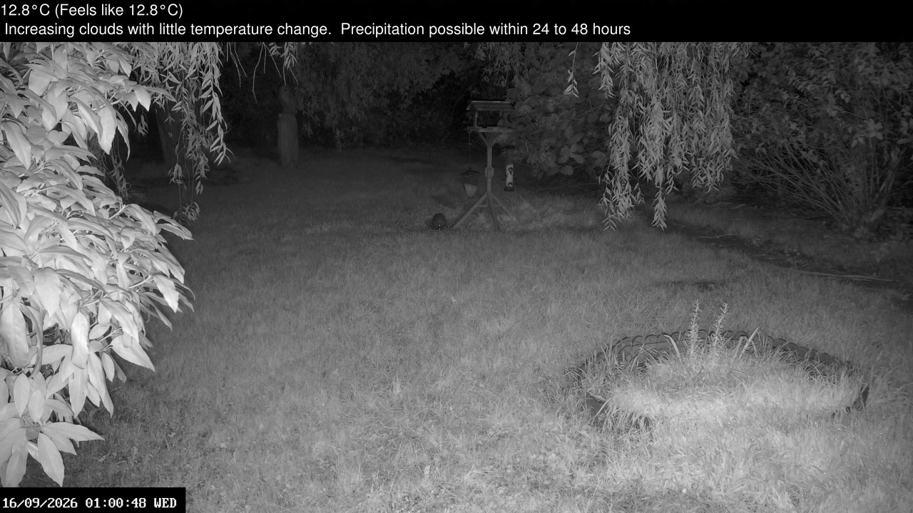 time-lapse frame, Wembury, Devon. Garden Zoom Cam webcam
