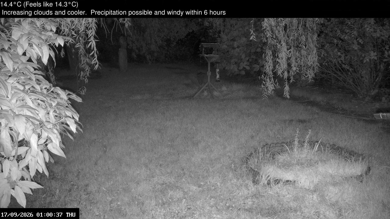 time-lapse frame, Wembury, Devon. Garden Zoom Cam webcam