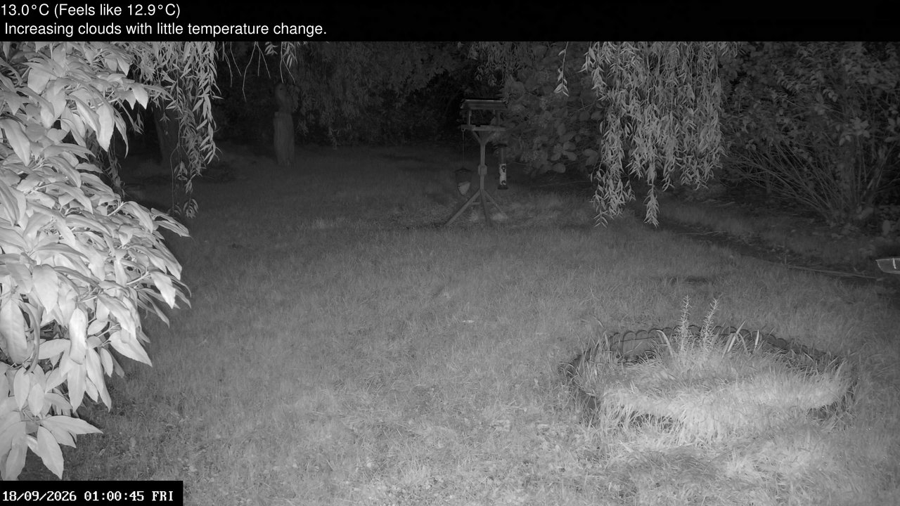 time-lapse frame, Wembury, Devon. Garden Zoom Cam webcam