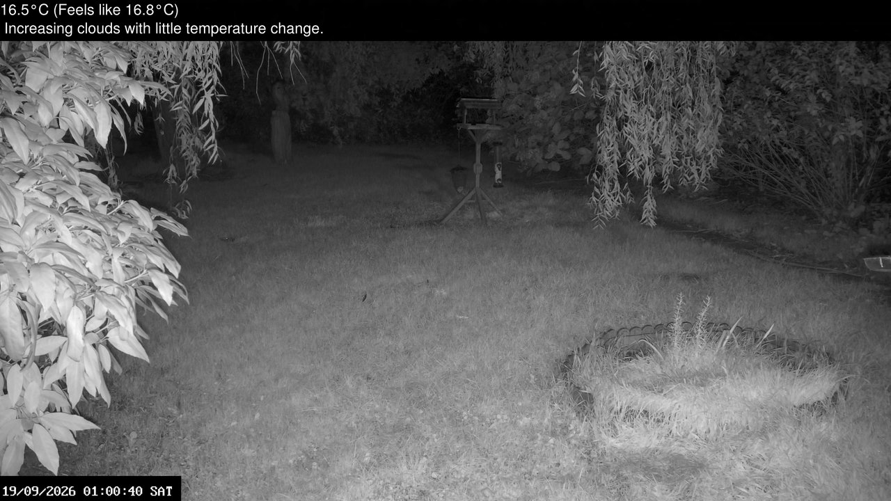 time-lapse frame, Wembury, Devon. Garden Zoom Cam webcam