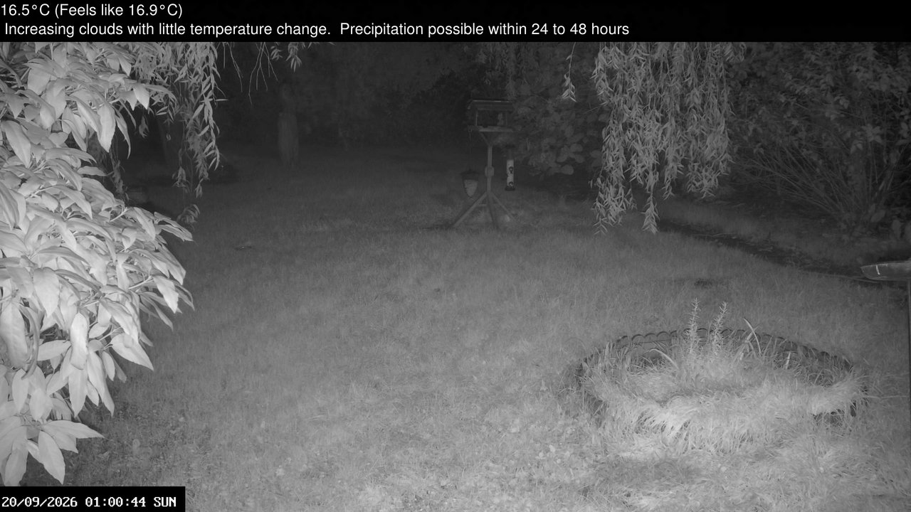 time-lapse frame, Wembury, Devon. Garden Zoom Cam webcam