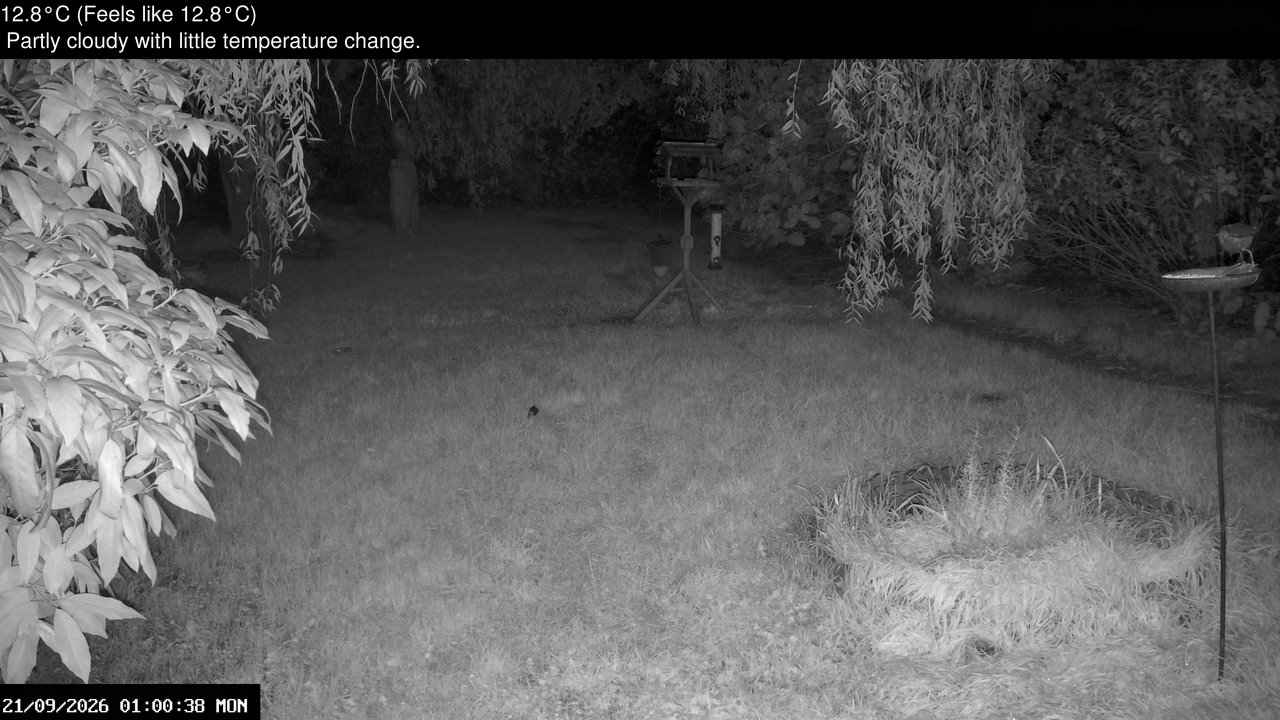 time-lapse frame, Wembury, Devon. Garden Zoom Cam webcam
