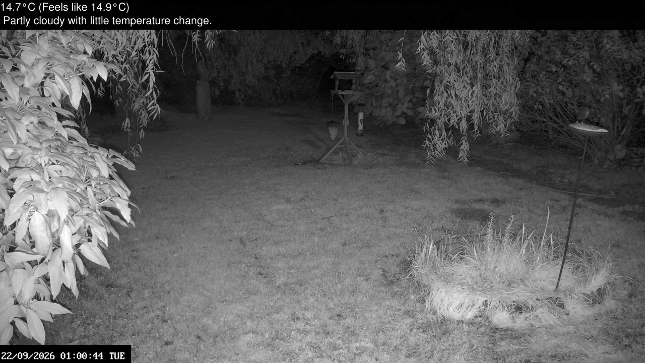 time-lapse frame, Wembury, Devon. Garden Zoom Cam webcam