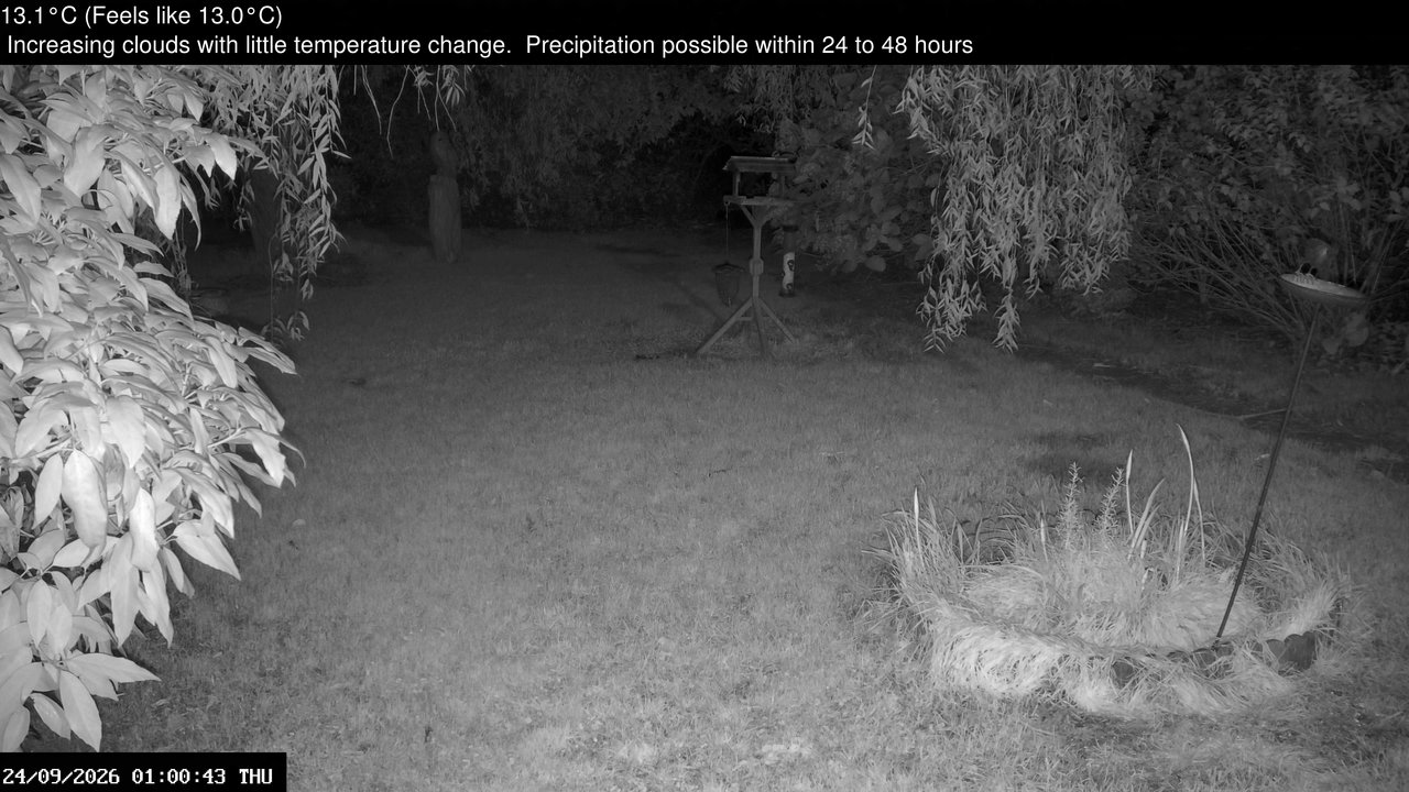time-lapse frame, Wembury, Devon. Garden Zoom Cam webcam