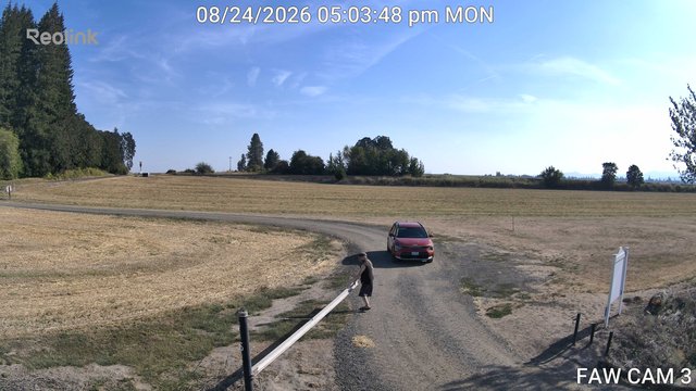 time-lapse frame, FAW CAM 3 webcam