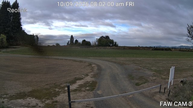 time-lapse frame, FAW CAM 3 webcam