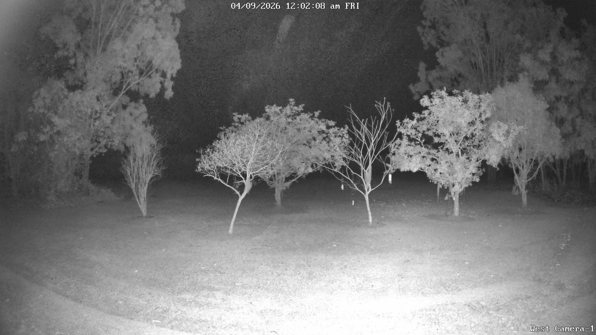time-lapse frame, KelseyCreek West View webcam