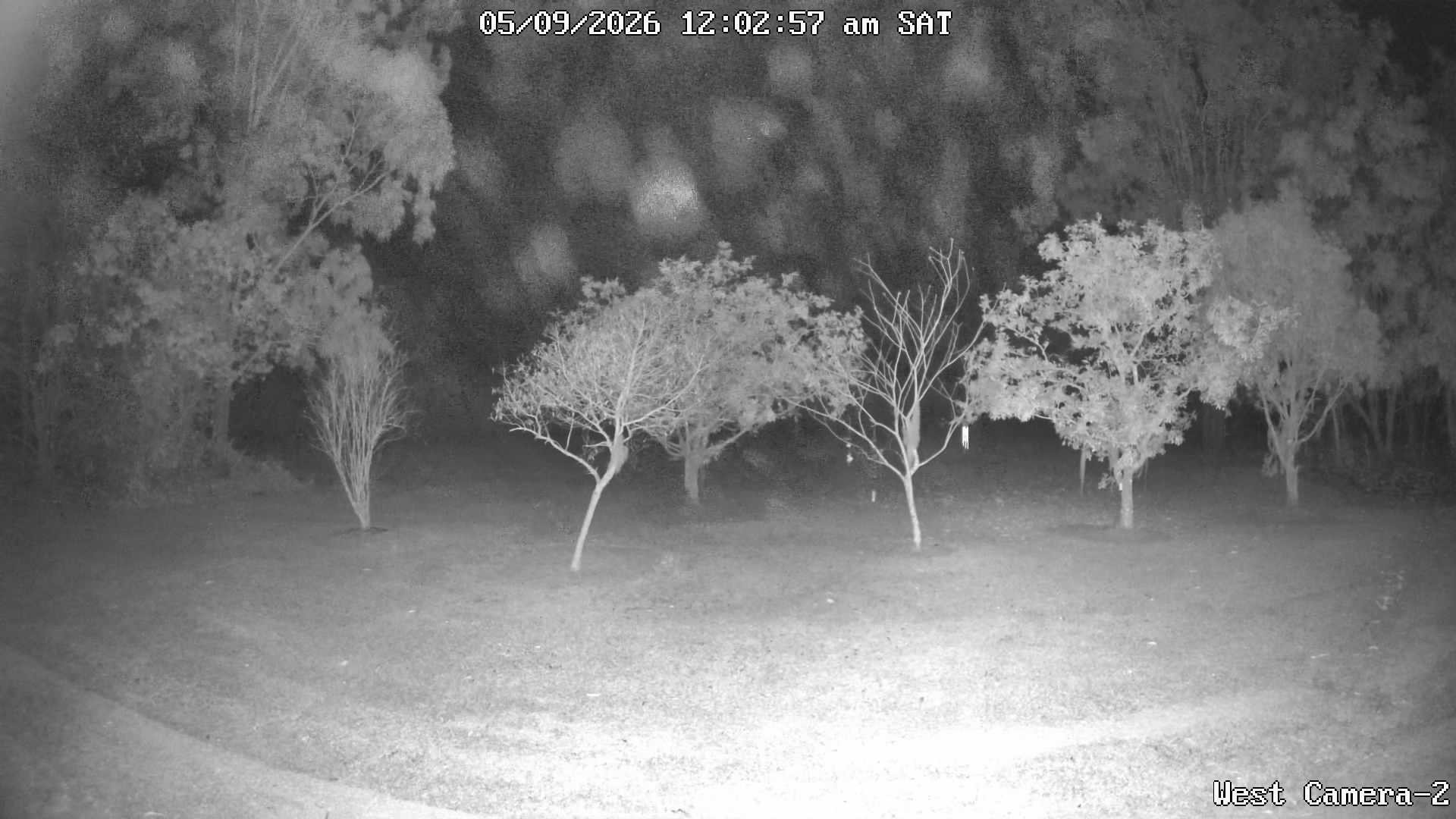 time-lapse frame, KelseyCreek West View webcam