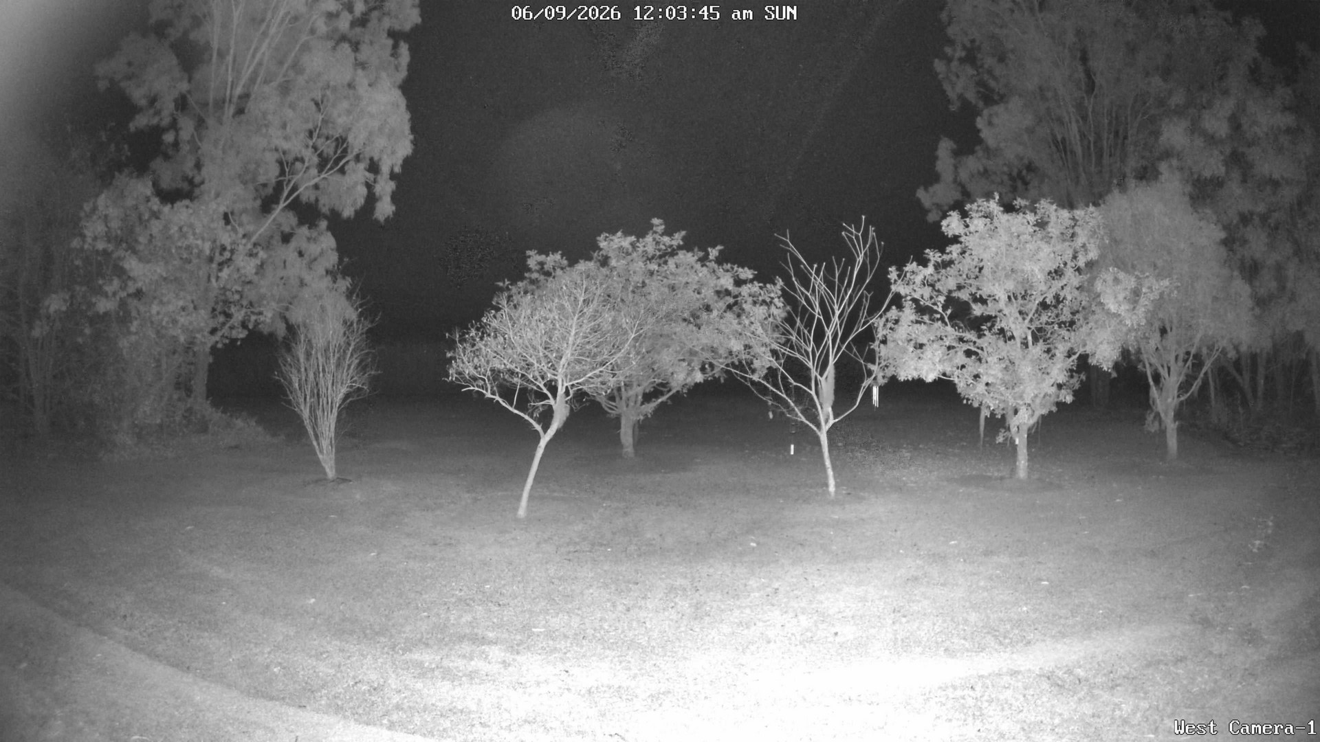 time-lapse frame, KelseyCreek West View webcam