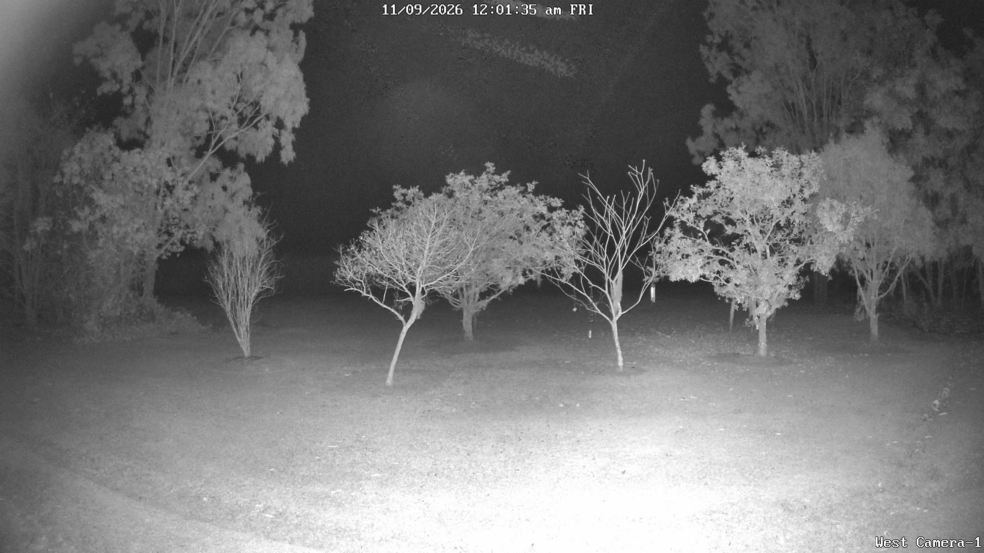 time-lapse frame, KelseyCreek West View webcam