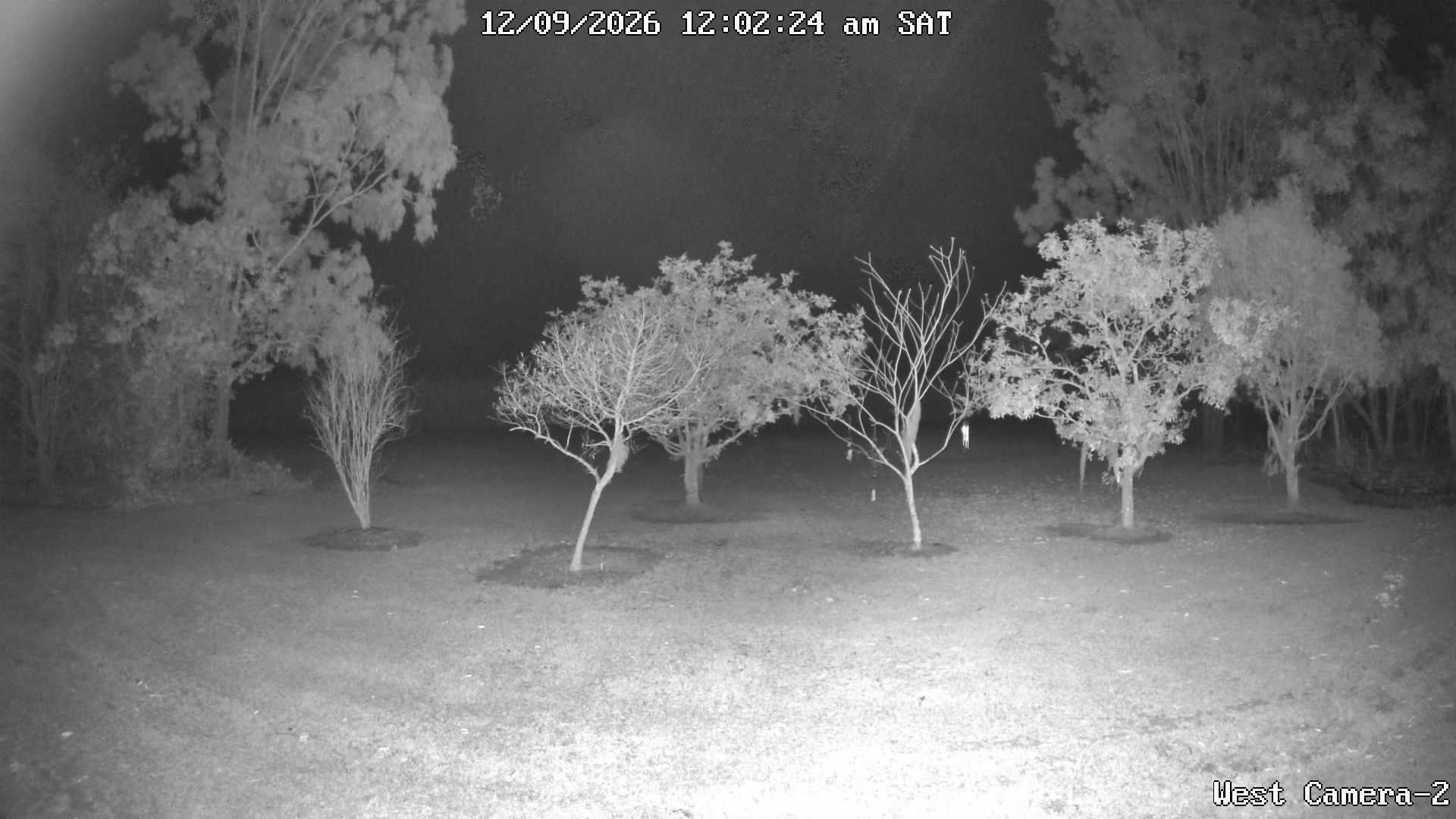 time-lapse frame, KelseyCreek West View webcam