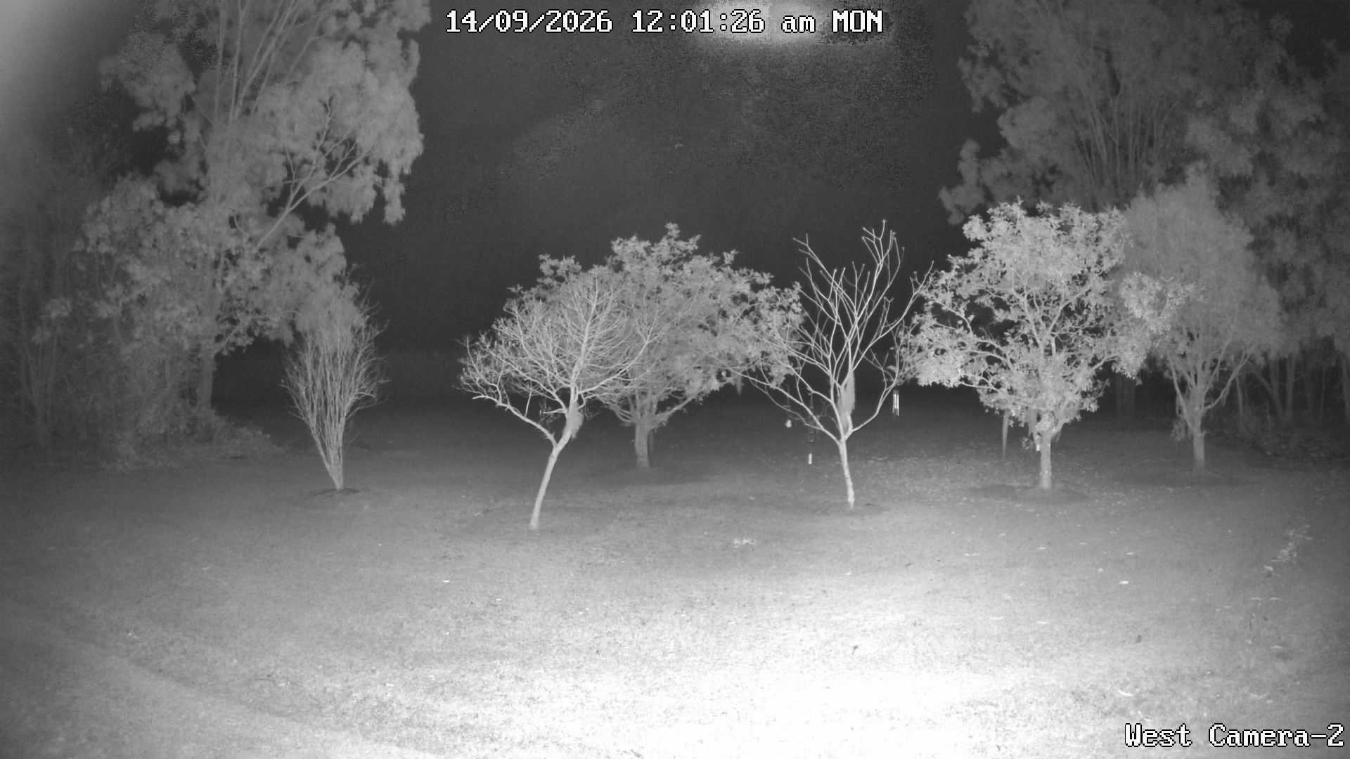 time-lapse frame, KelseyCreek West View webcam