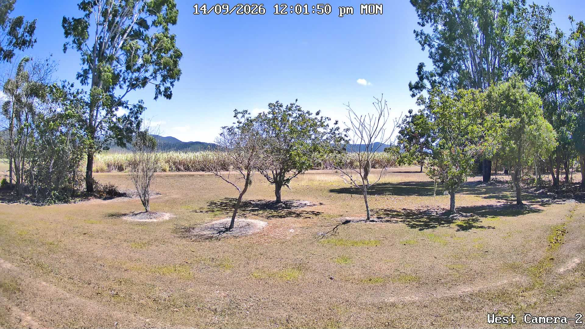 view from KelseyCreek West View on 2026-09-14