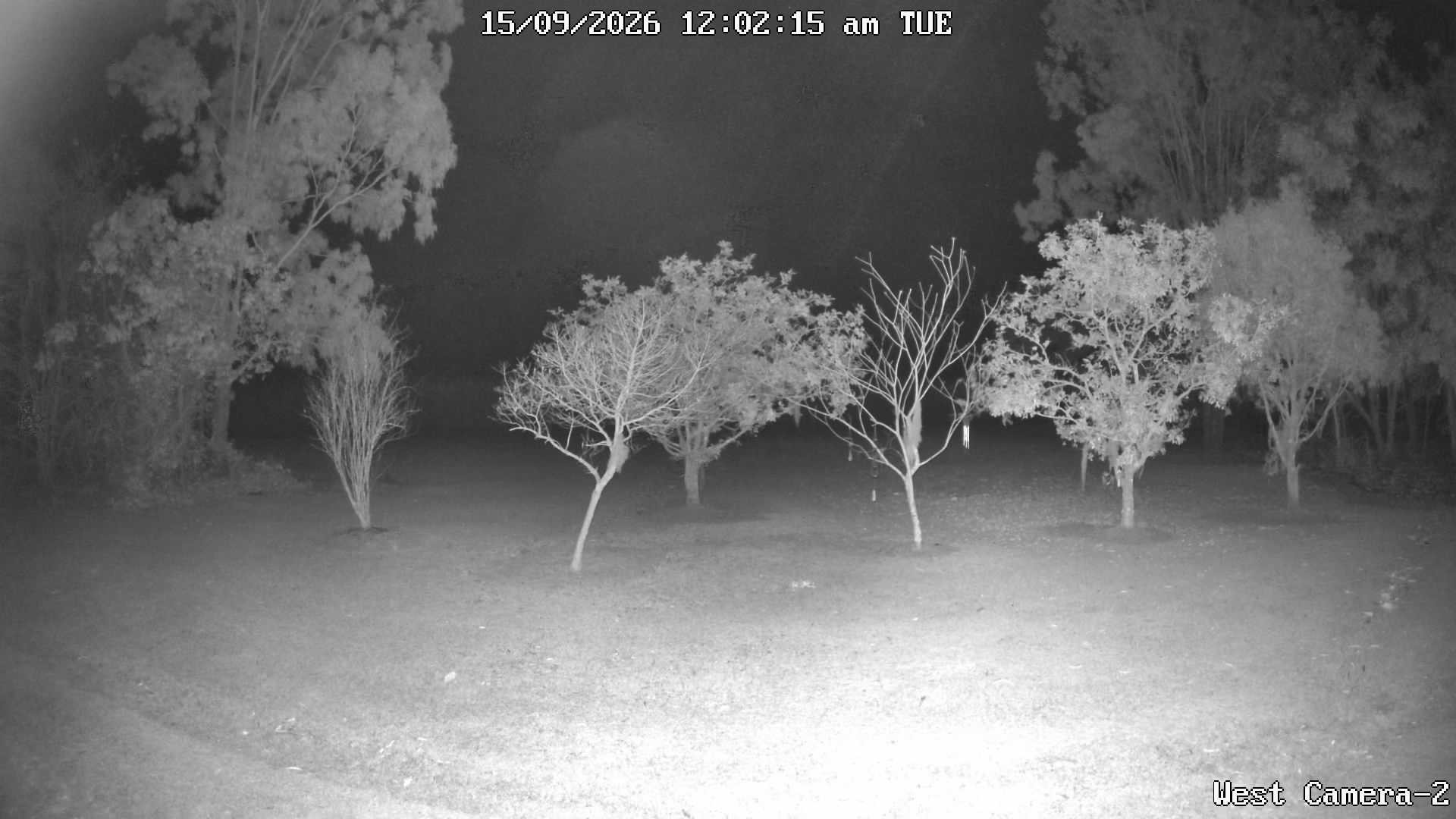 time-lapse frame, KelseyCreek West View webcam