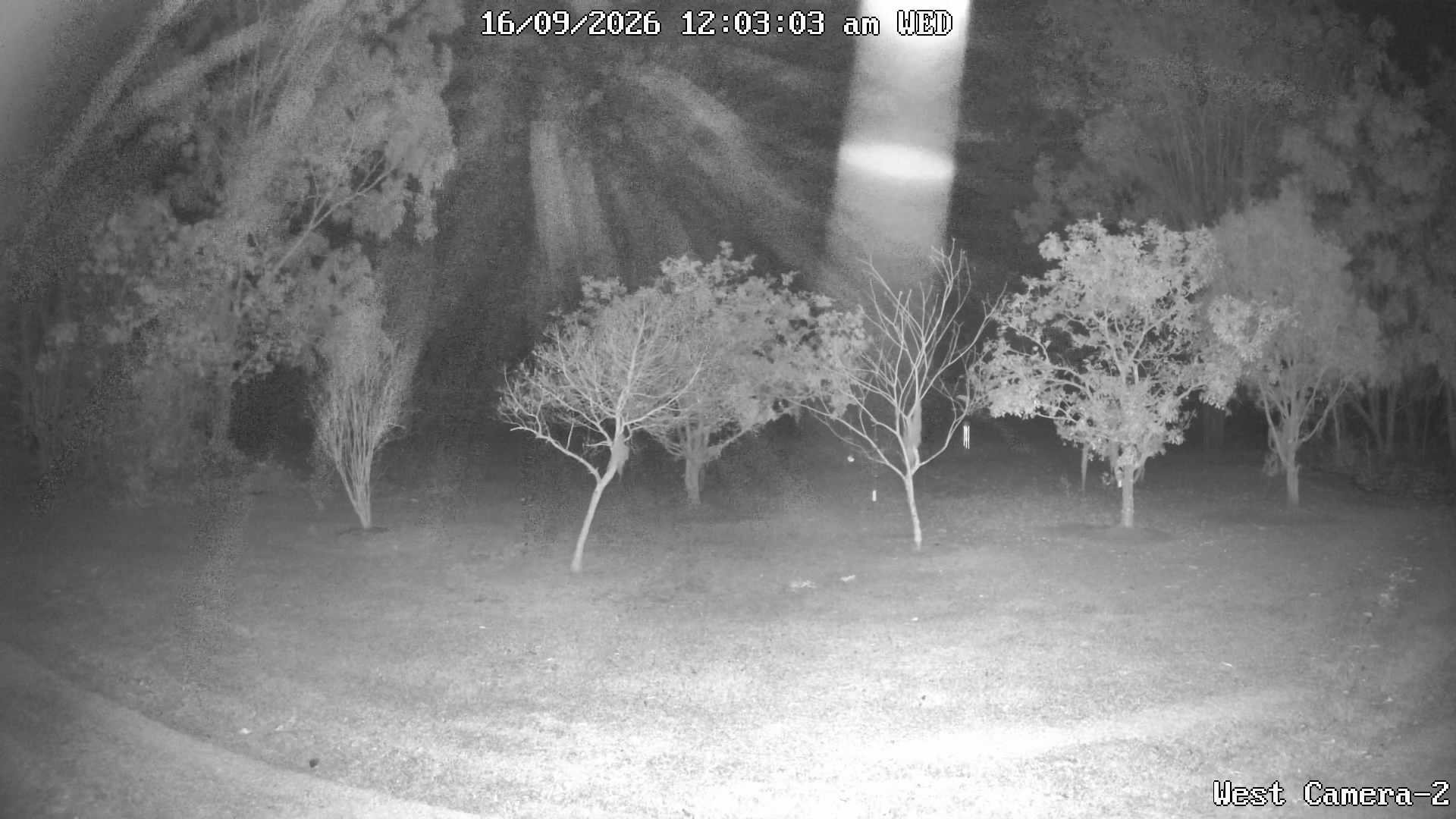 time-lapse frame, KelseyCreek West View webcam