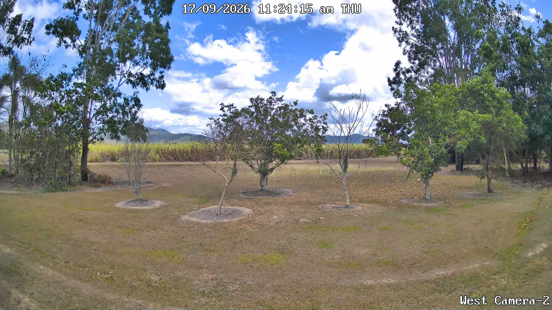 view from KelseyCreek West View on 2026-09-17